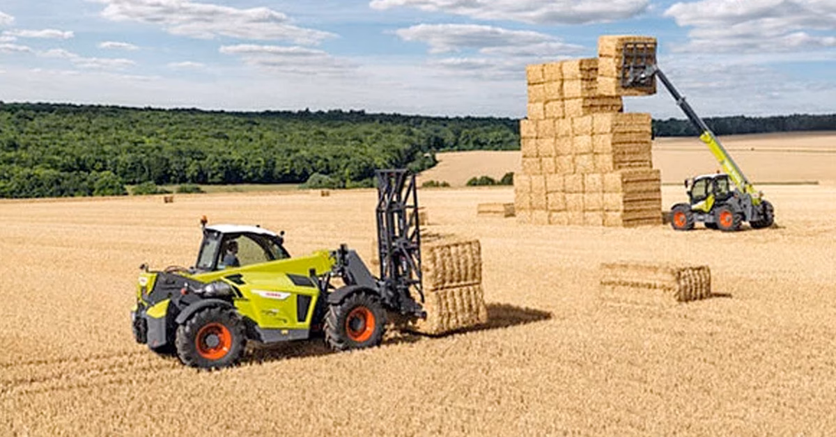 Kto jest właścicielem Agro AS?