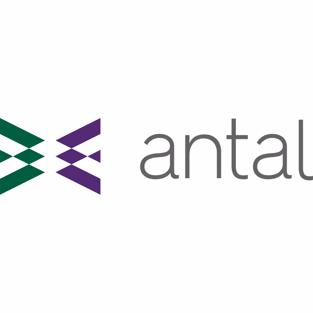 Czym zajmuje się Antal?