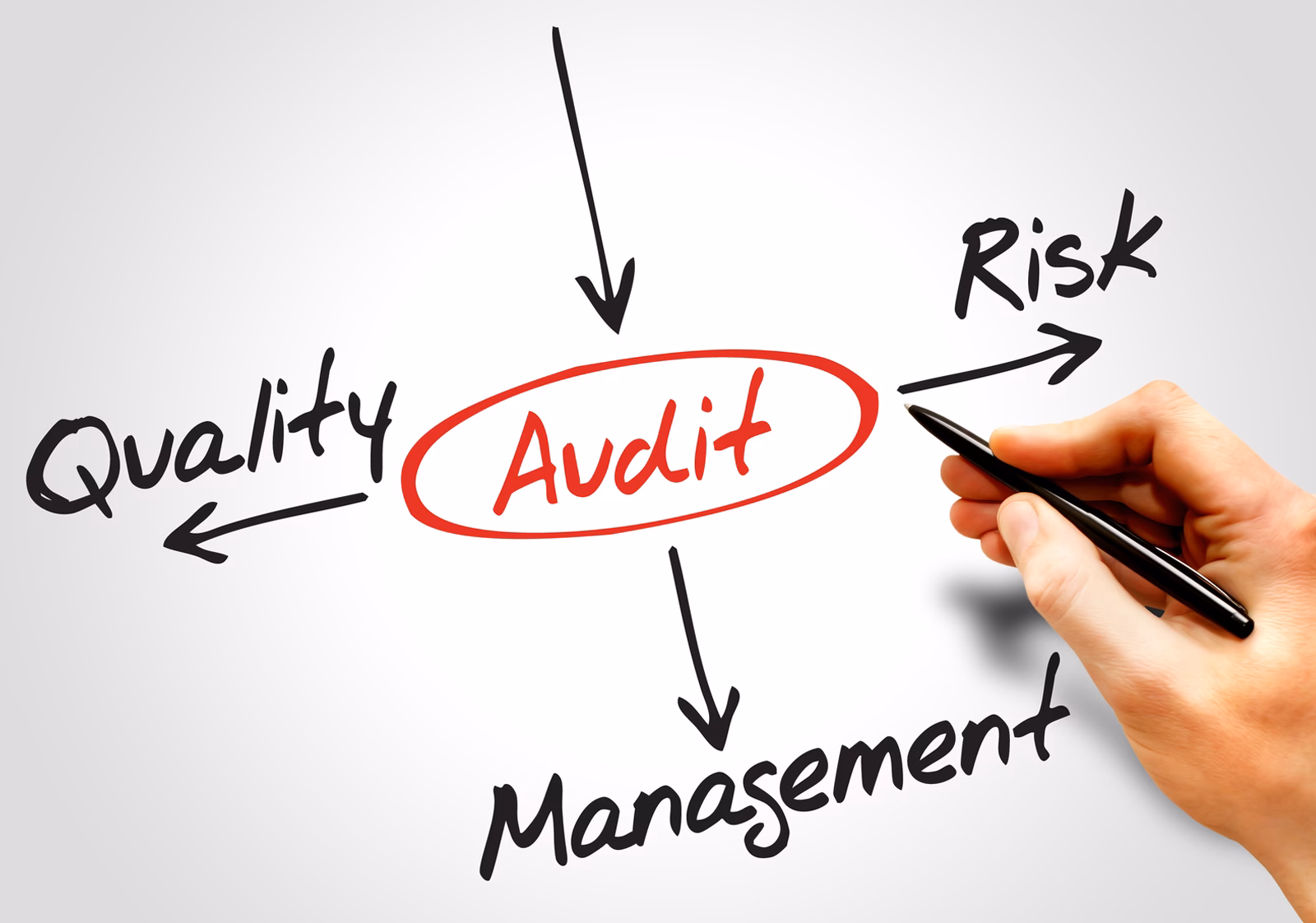 Czy audytor i rewident to to samo?