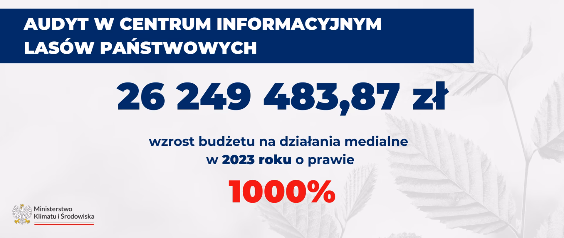 Kto jest dyrektorem Lasów Państwowych w Toruniu?