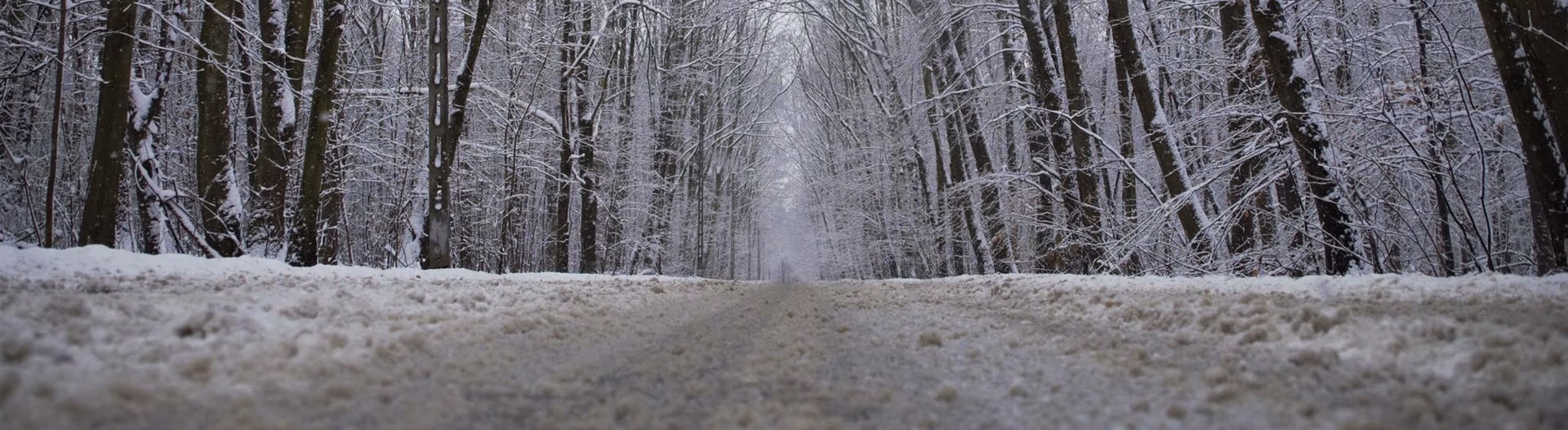 Kiedy wymagany jest audyt BRD?