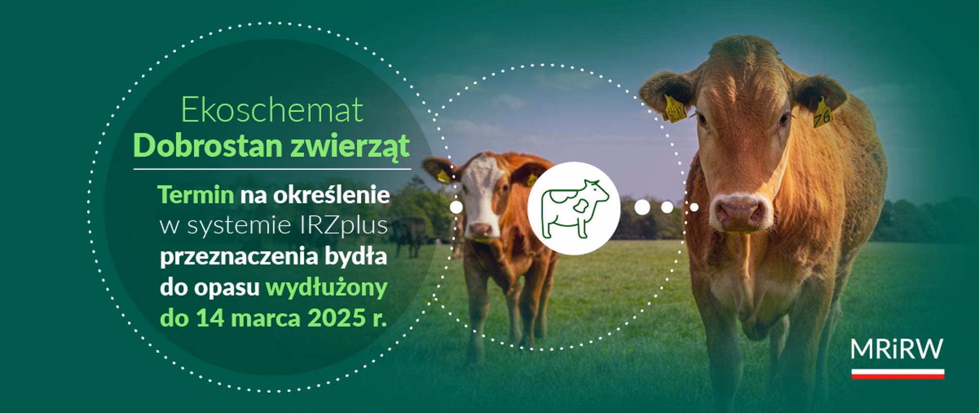 Jakie są 5 dobrych przykładów dobrostanu zwierząt?