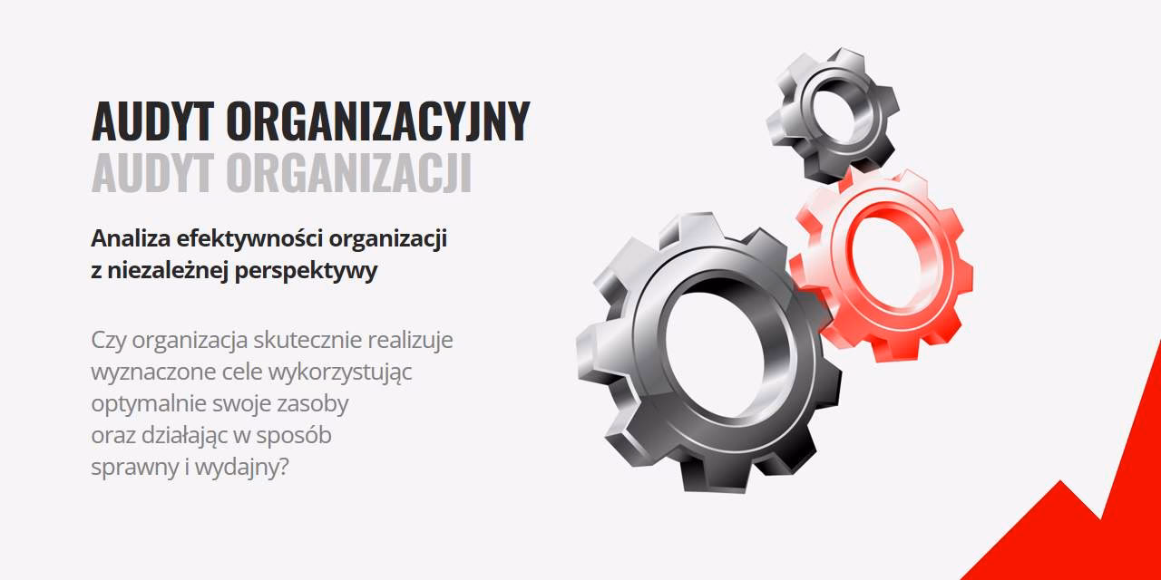 Na czym polega doradztwo biznesowe?