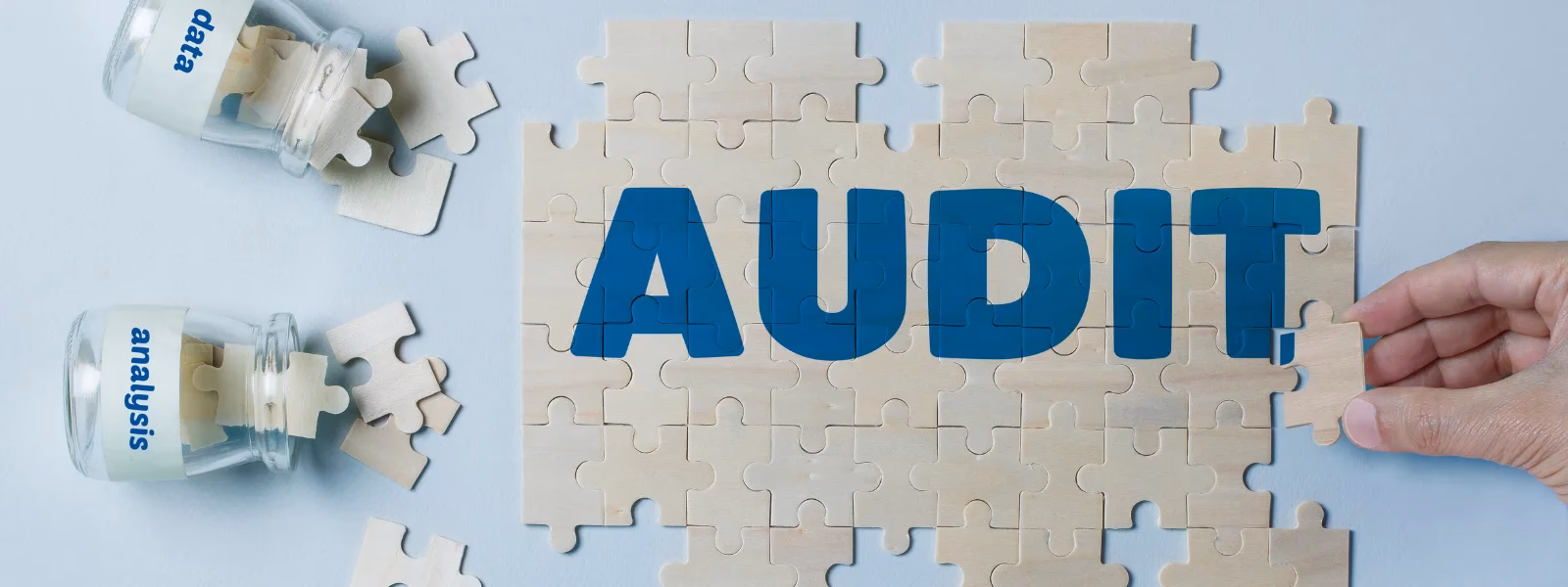 Ile kosztuje audyt dostępności strony internetowej?