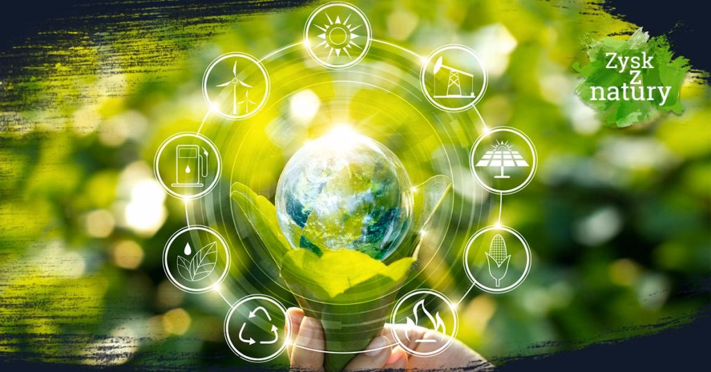 Jaki jest przykład audytu środowiskowego?