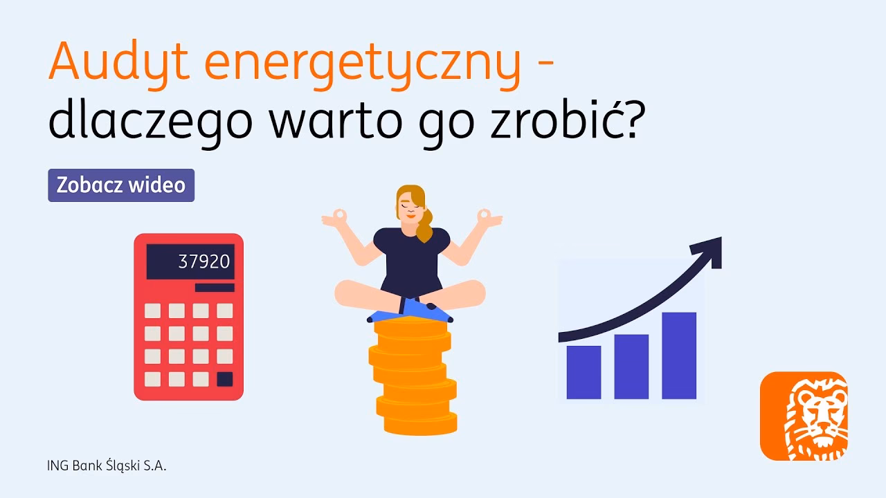 Jakie są wady audytu energetycznego?