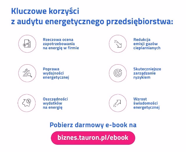 Ile stron ma audyt energetyczny?