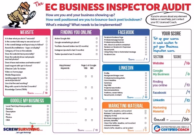 Who is the regulator of the EU audit?