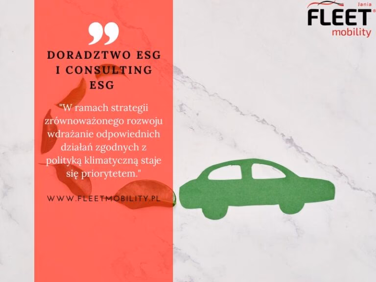 Czym jest audyt floty?