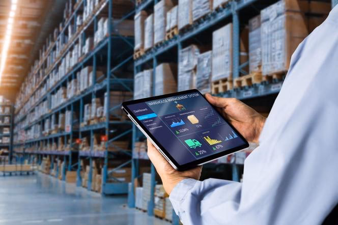 Jakie są rodzaje systemów logistycznych?