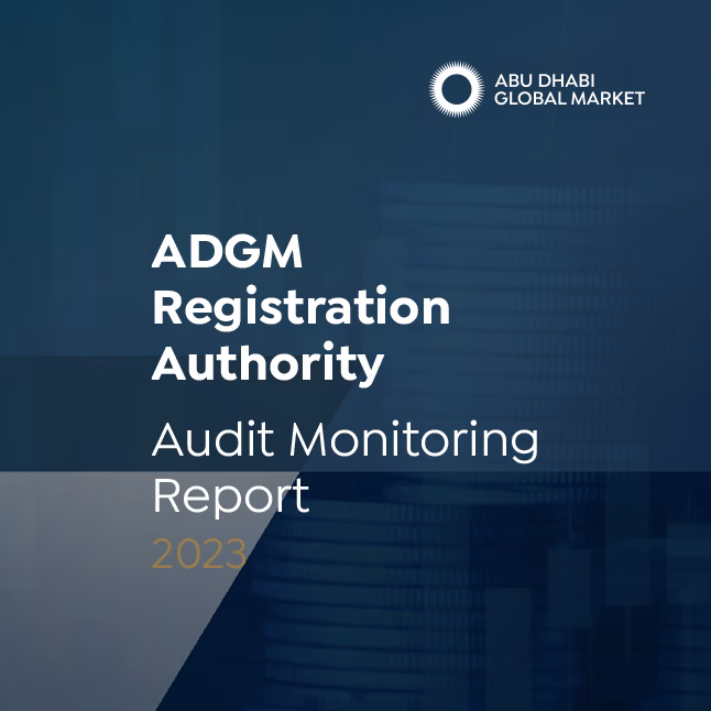 What are the four types of audit reports?