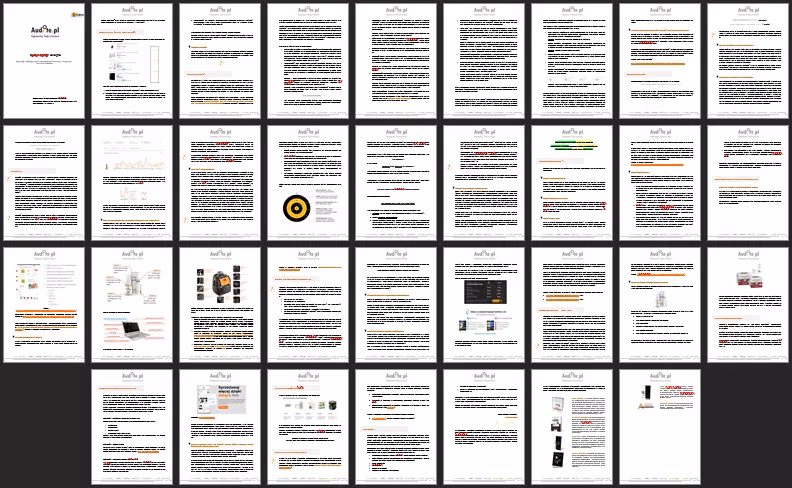 Czym jest audyt typu 1?