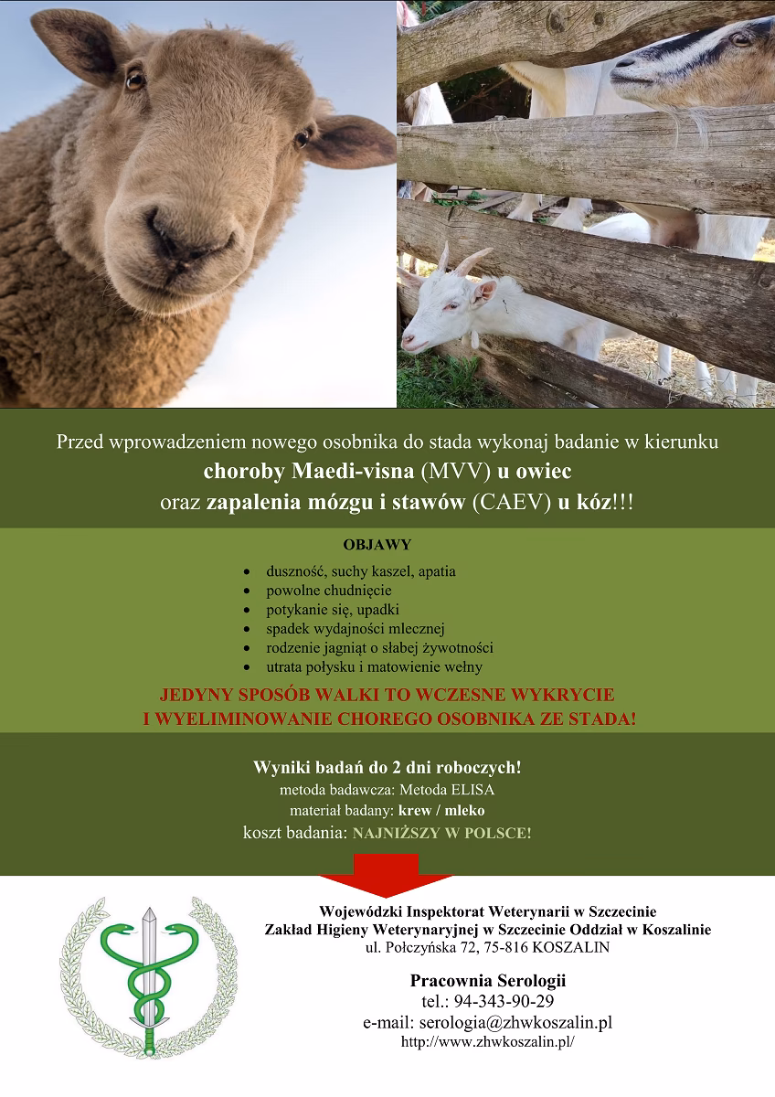 Ile kosztuje kontrola weterynaryjna?