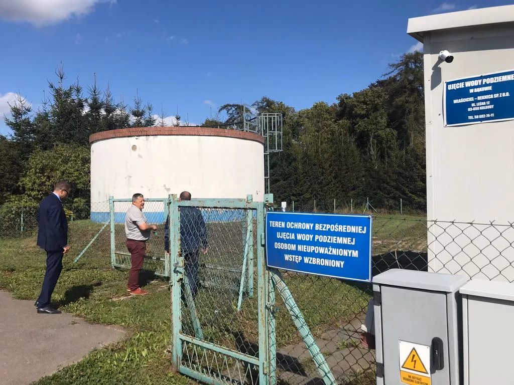 Jak drzewo pije wodę?