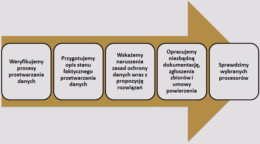 Jaki jest główny cel przeprowadzania audytów przetwarzania?
