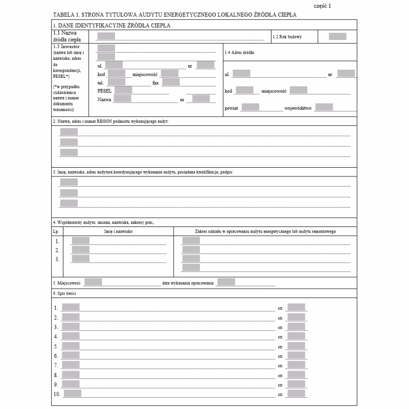 Czym jest audyt formularza 5500?