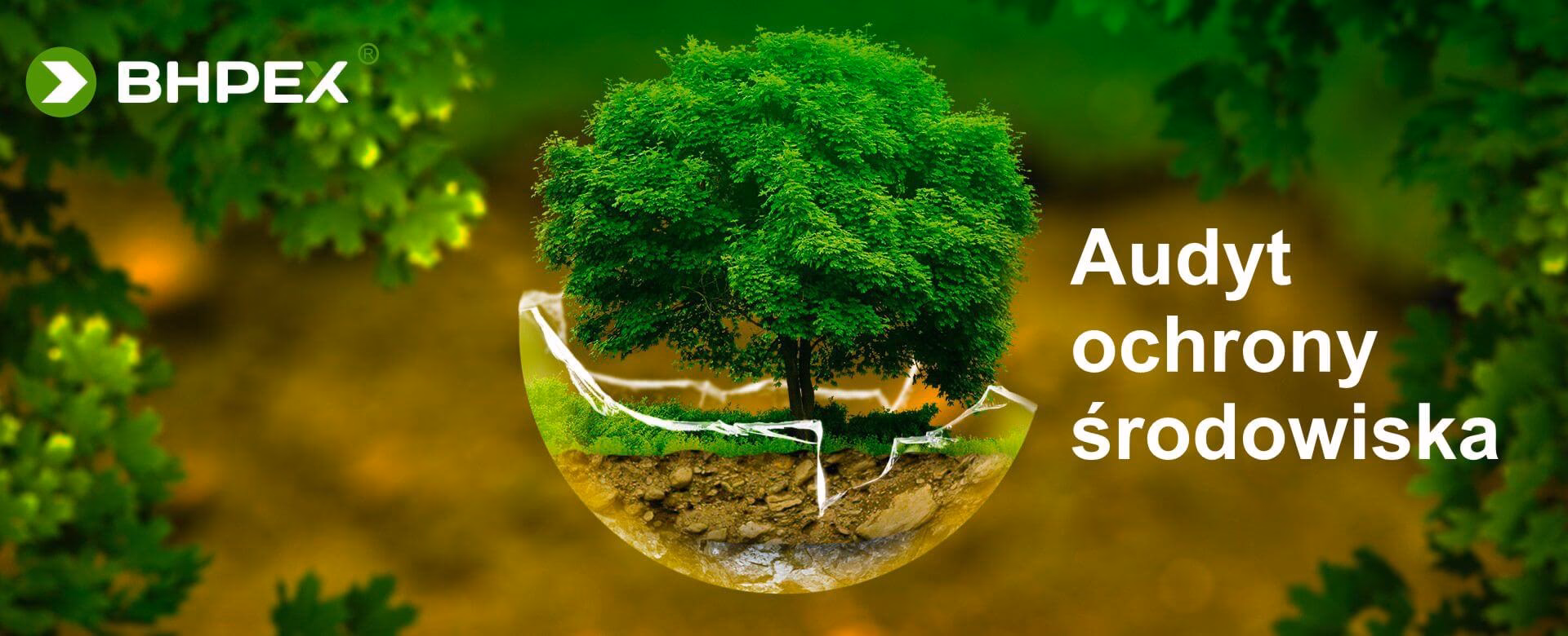 Na czym polega audyt środowiskowy?