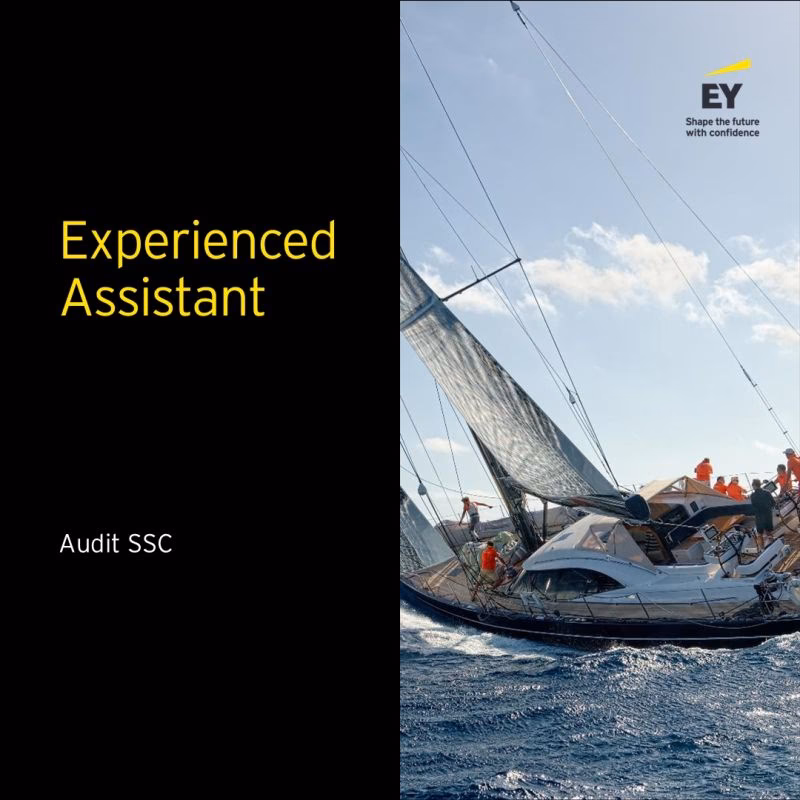 Is assurance the same as audit at EY?