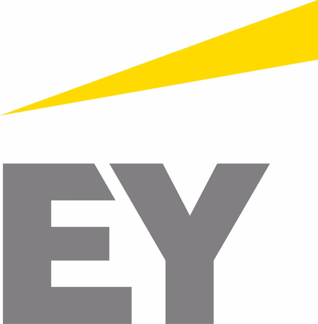 What does EY stand for in auditing?