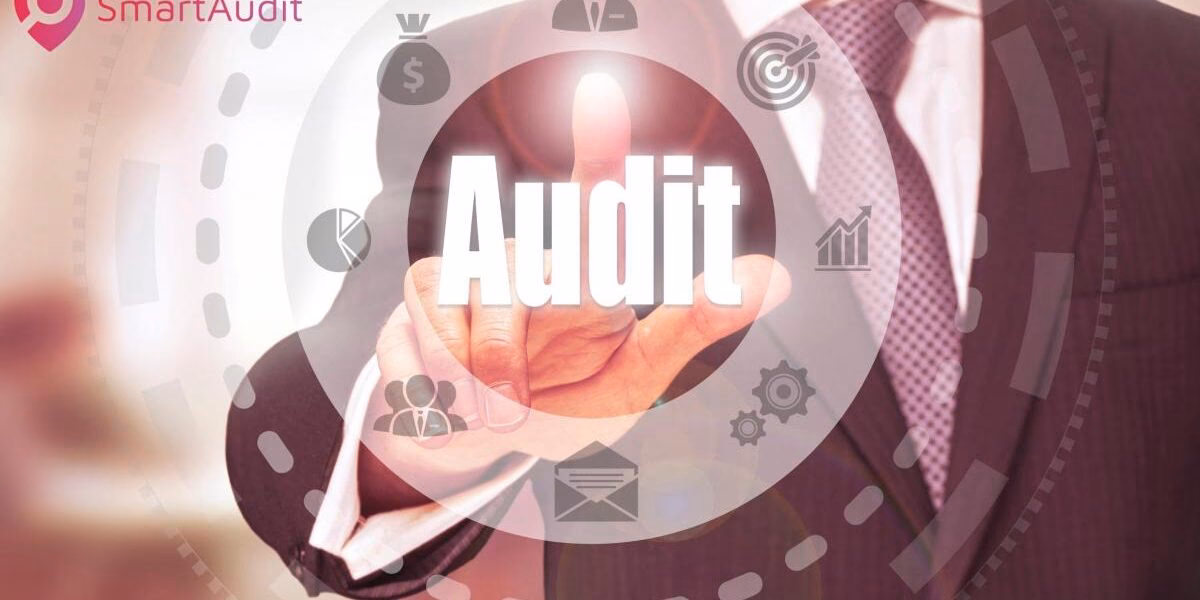 Ile jest standardów w audycie?