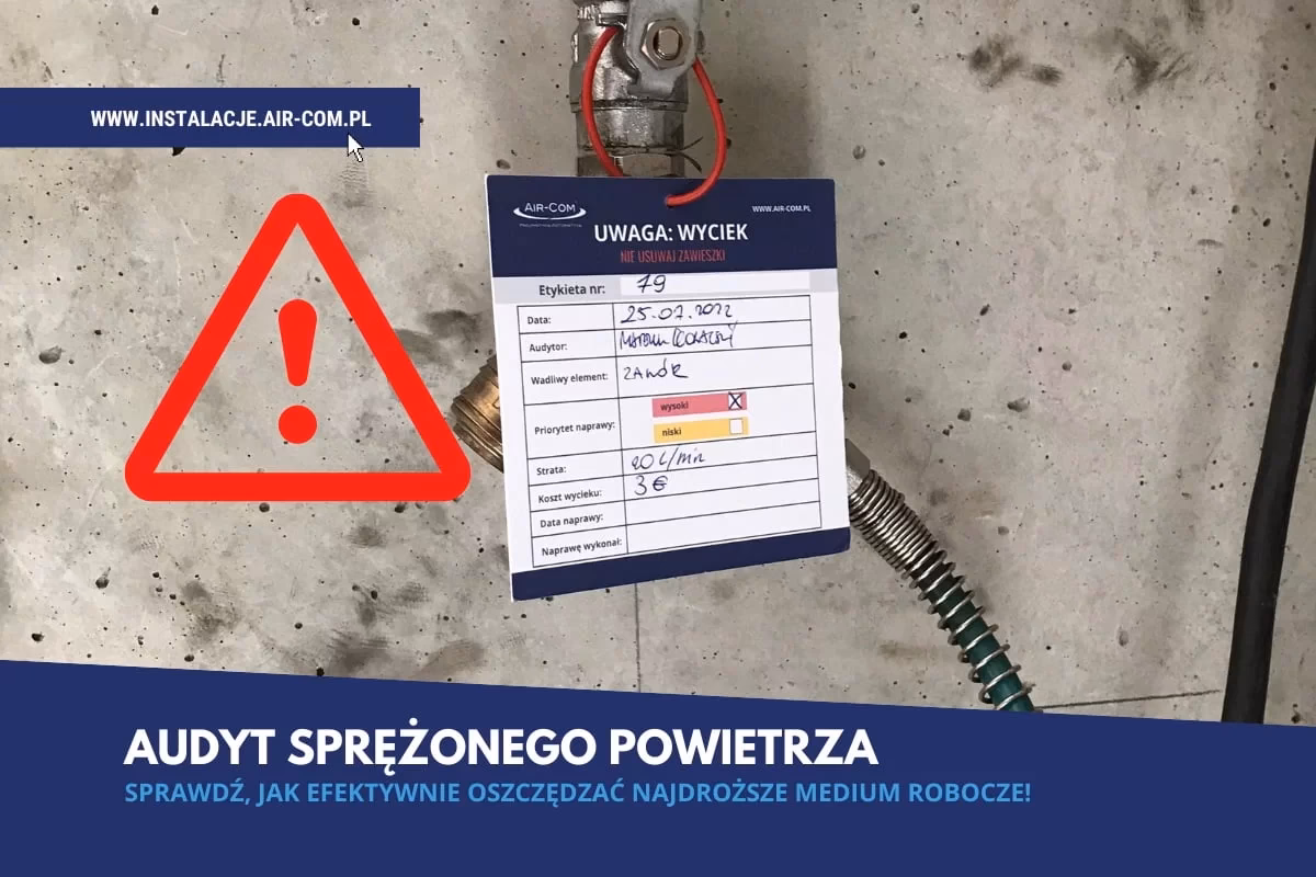 Jak teraz nazywają się audyty 133?