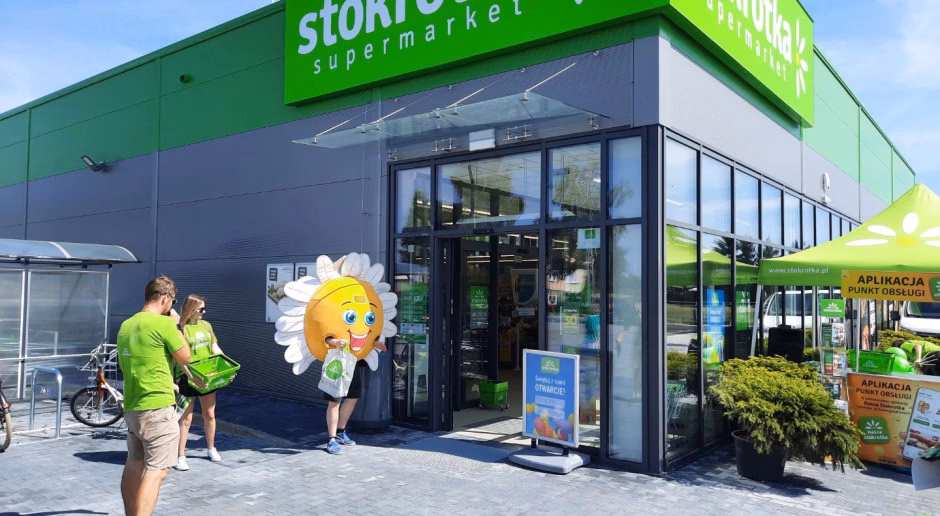 Jakie jest przeznaczenie stokrotki?