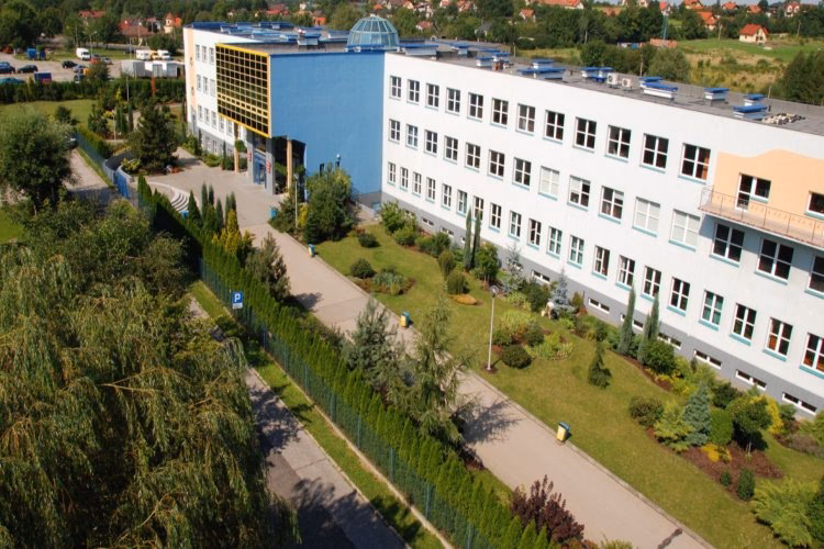 Jakiego rodzaju audyty można uznać za audyty zdalne?