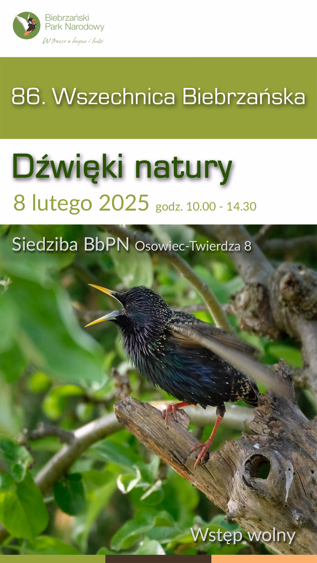 Kiedy najlepiej jechać nad Biebrzę?