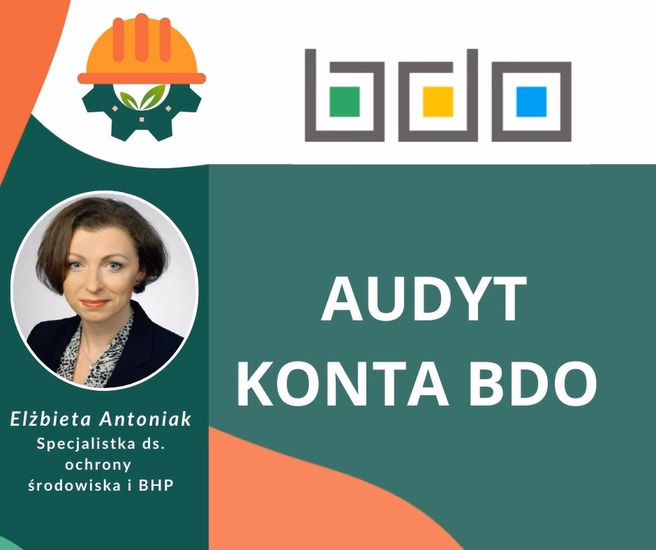 What does BDO mean in audit?