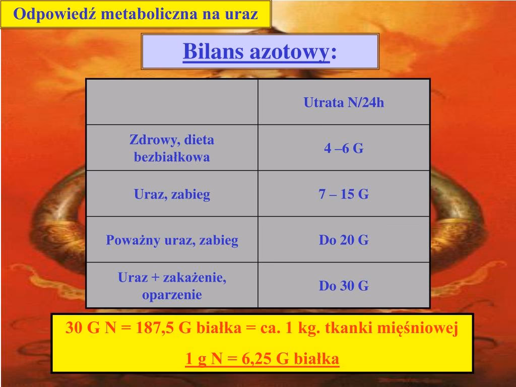Jak białko wpływa na bilans azotowy?