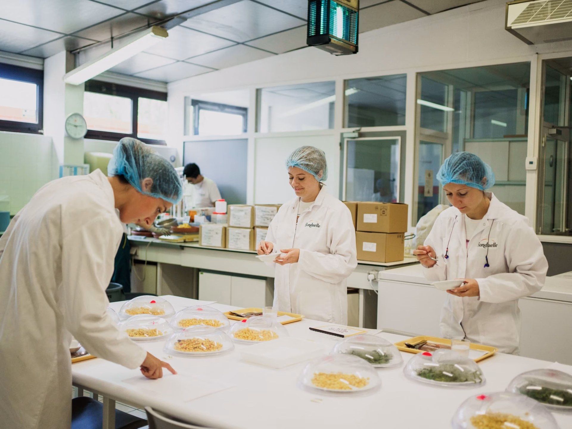 Kto jest właścicielem Bonduelle Group?