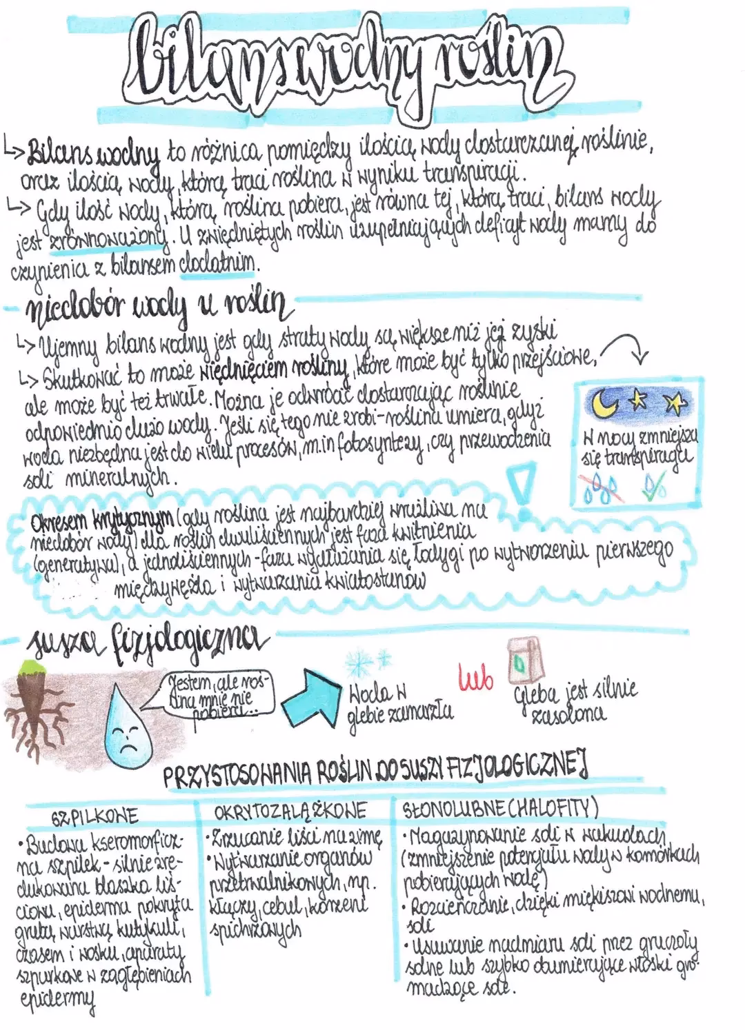 Co oznacza niedobór bilansu wodnego?