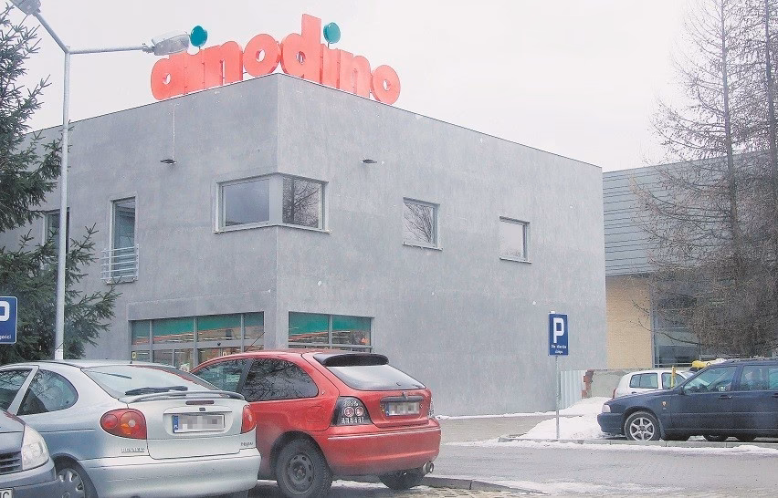 Kto jest głównym właścicielem Dino?