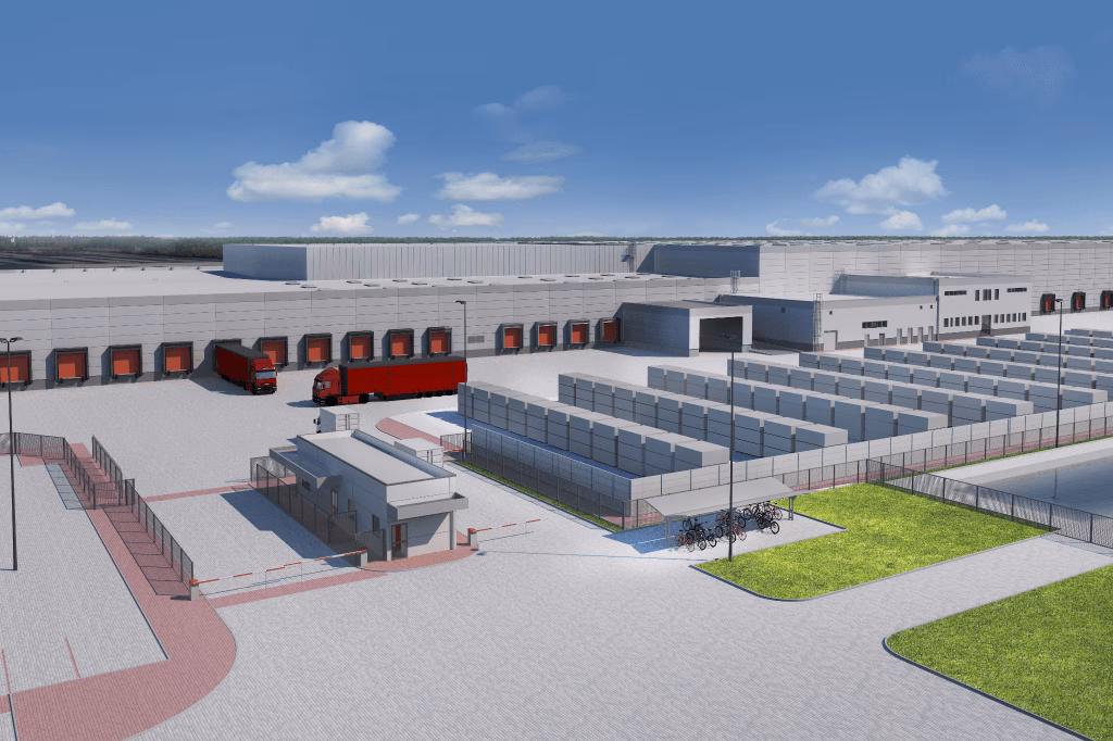 Kto jest właścicielem Dino w Polsce?