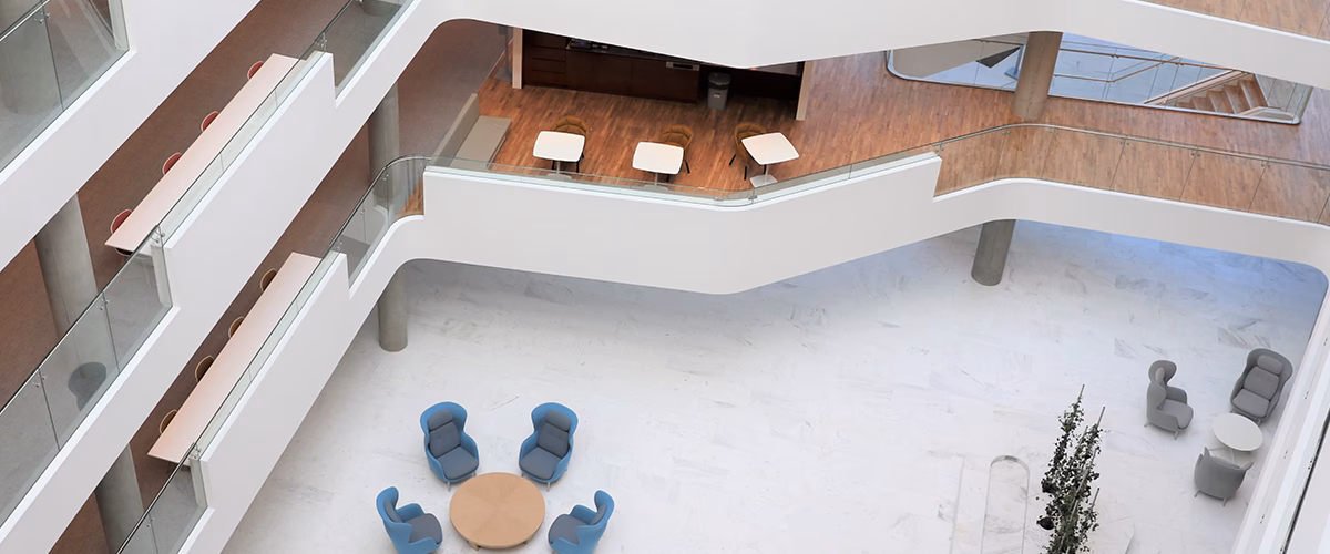 Czym zajmuje się DSV?