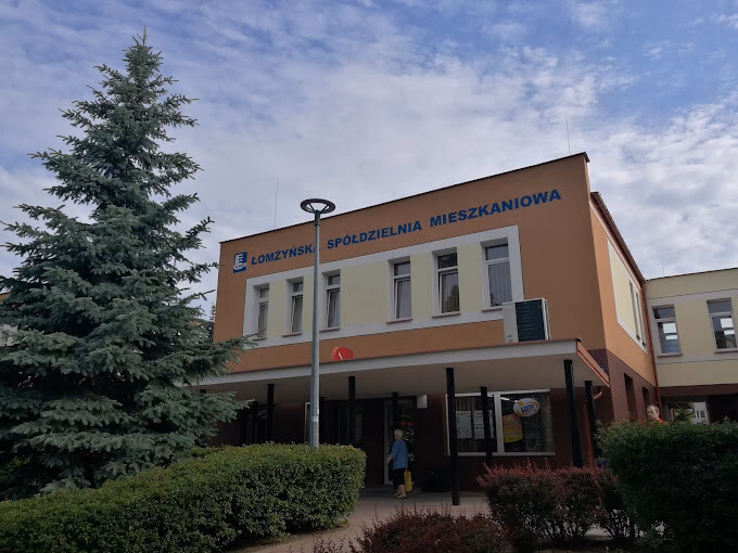 Czym jest LSM w biznesie?