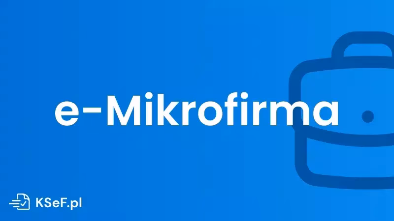 Czy e-mikrofirma zastępuje księgowość?