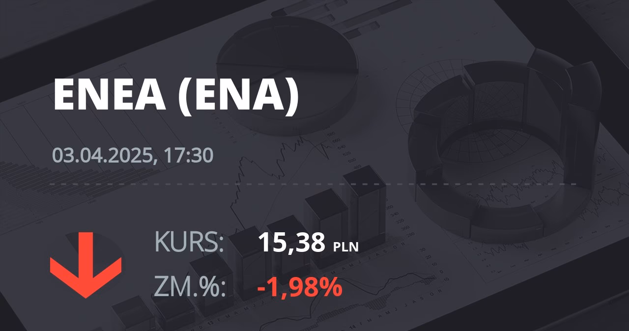 Kto jest właścicielem Grupy Enea?