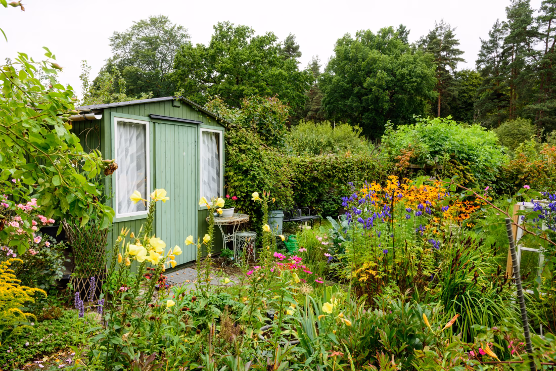 Kto prowadzi księgowość w ROD?