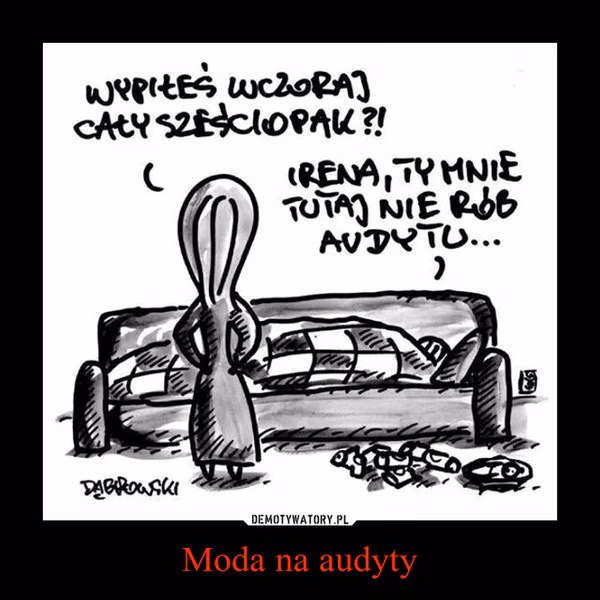 Do kogo kierowany jest audyt?