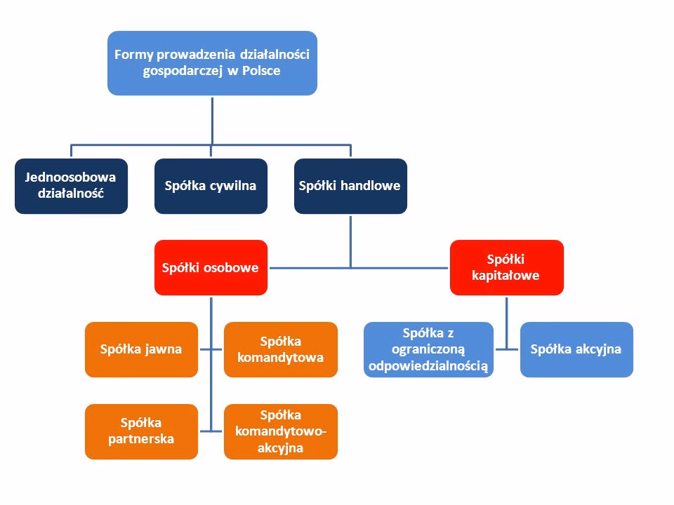 Jakie są cztery formy prawne organizacji przedsiębiorstw?