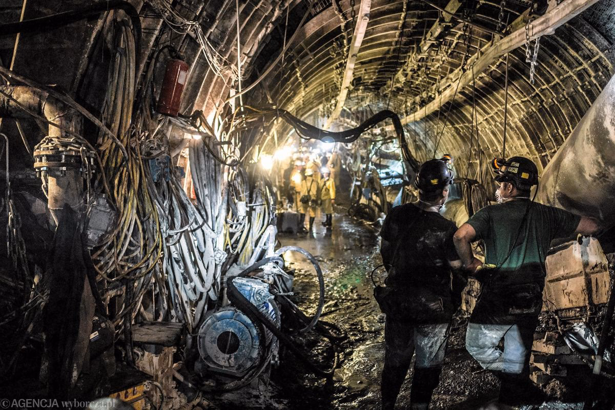 Jakie są dane firmy Polska Grupa Górnicza?