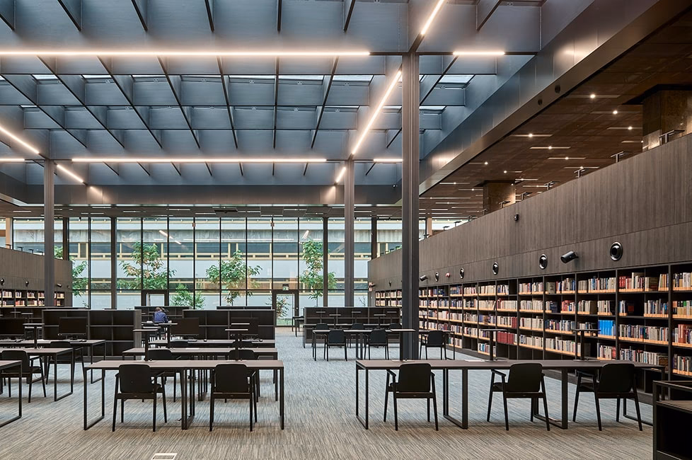 Kto jest dyrektorem Biblioteki Narodowej?