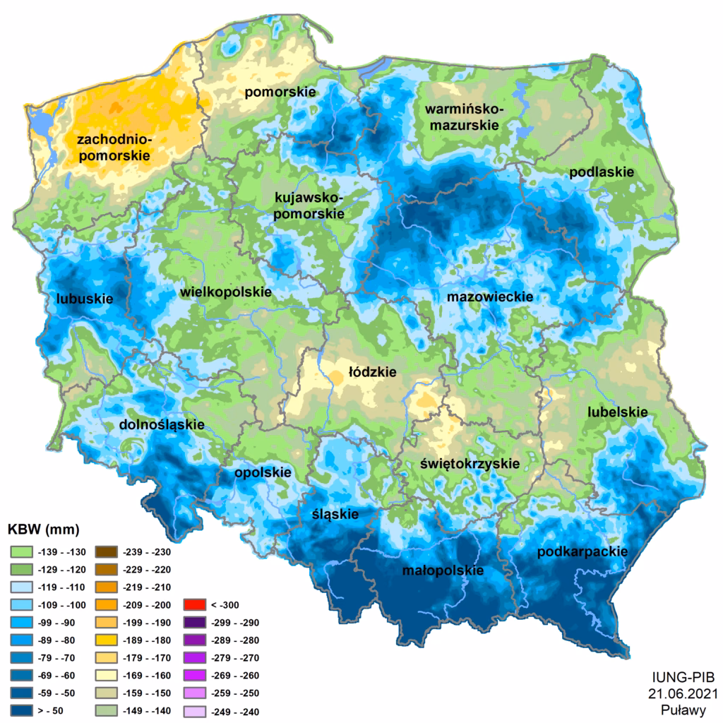 Jak oszacować bilans wodny?
