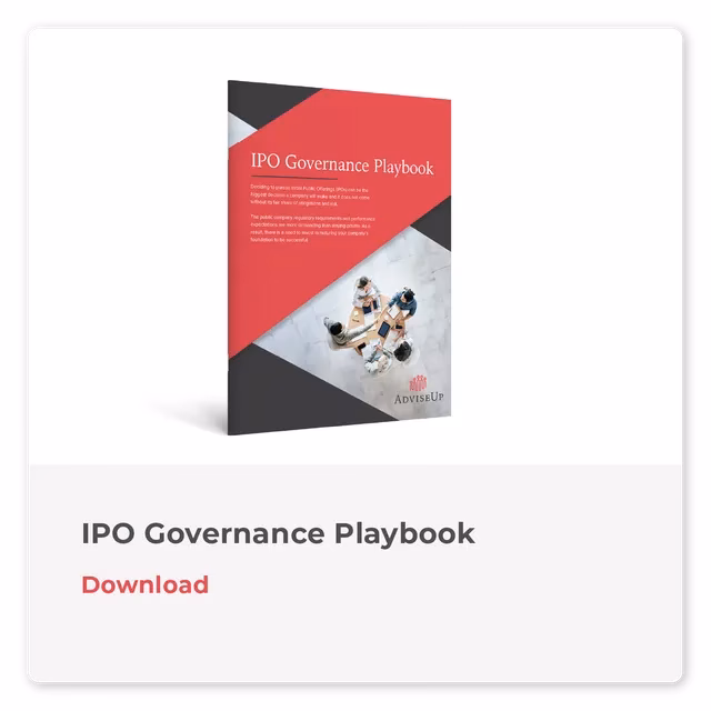 What is an IPO audit?