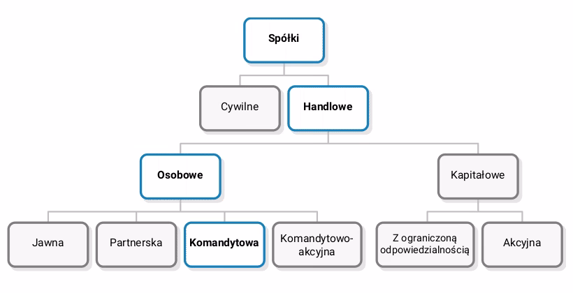 Czym jest kapitał własny partnera komandytowego?