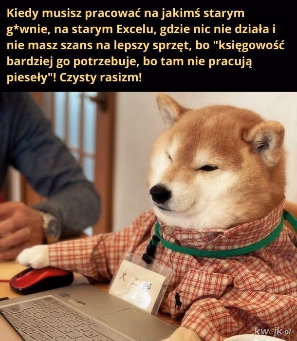 Czy w antykwariacie można sprzedać książki?