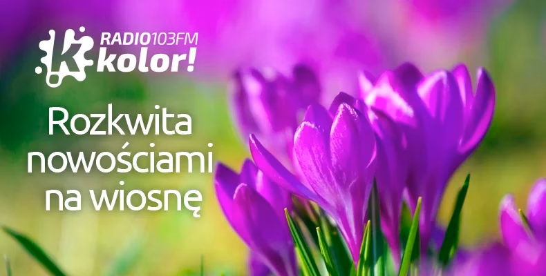 Kto jest właścicielem Radia Kolor?