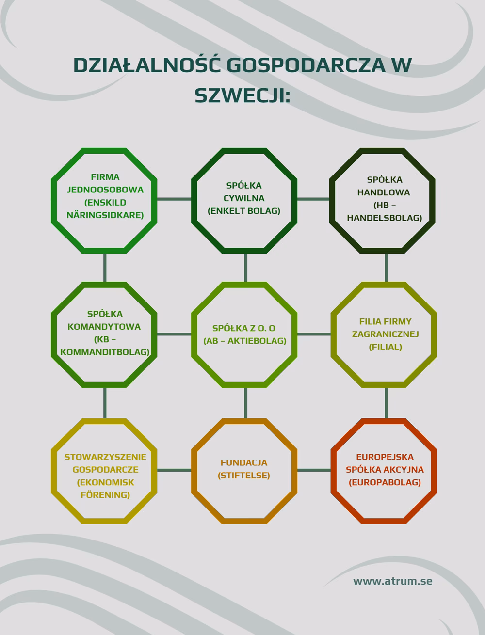 Czym zajmuje się księgowy międzynarodowy?