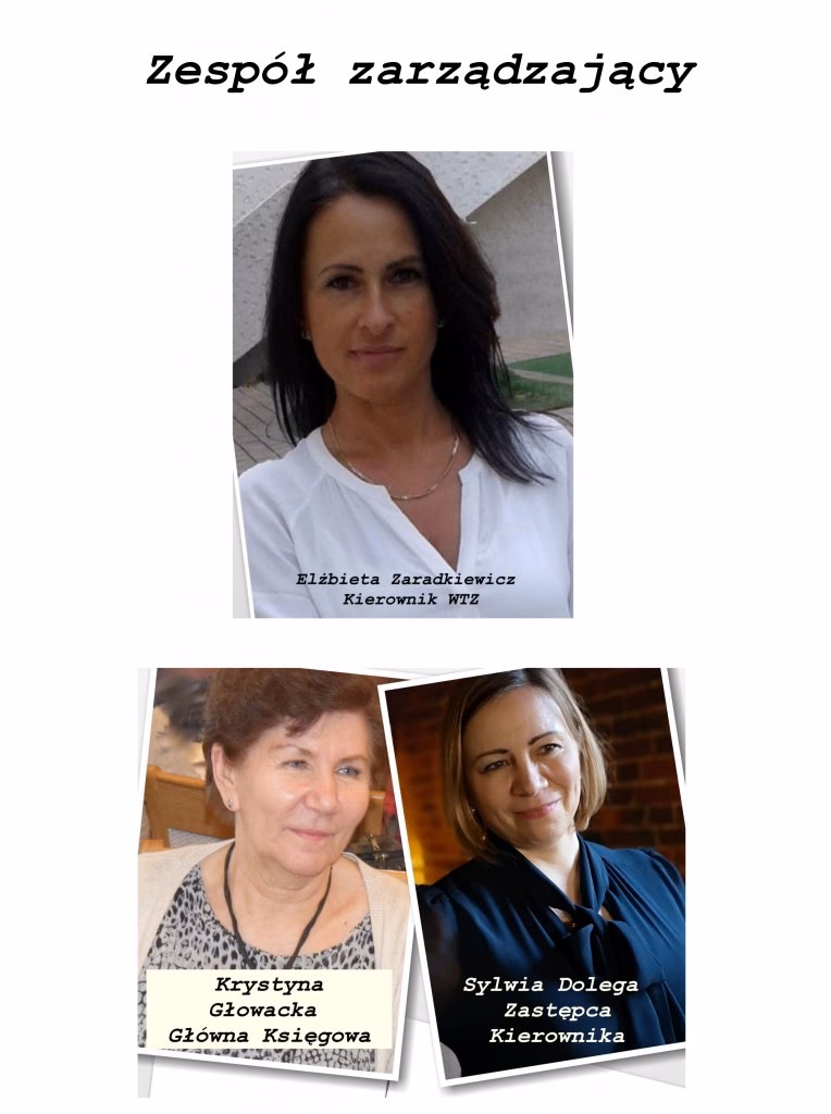 Kto może prowadzić WTZ?